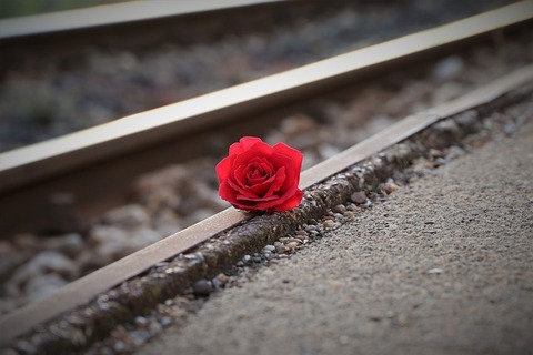 stop-youth-suicide-3663311_640
