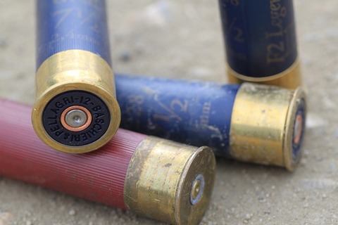 cartridge-cases-209210_640