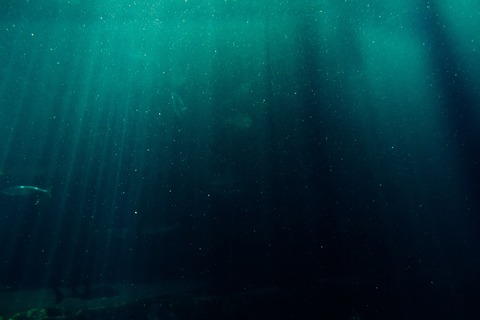 blue-blur-color-932638