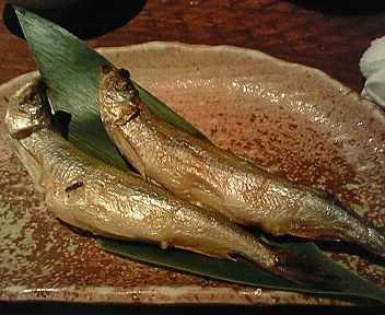 kagakunojikan