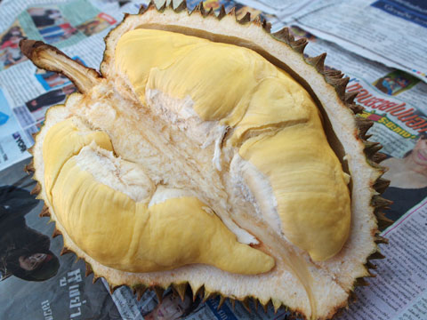 kagakunojikan