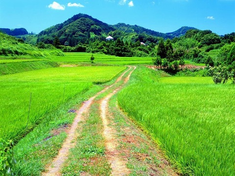 kagakunojikan