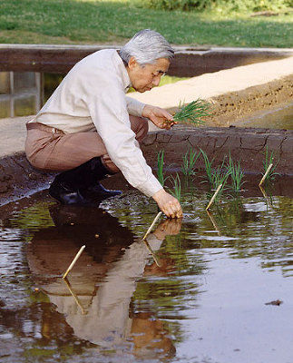kagakunojikan