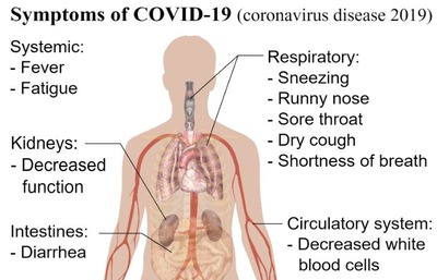 COVID-19 14番目の症例確認