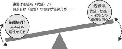 ゲーム依存症の脳