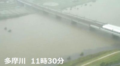 多摩川2 11時30分