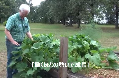 謎の種「驚くほどの勢いで成長」