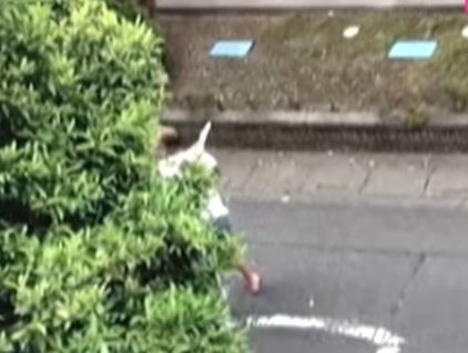 刃物男
