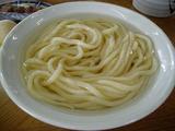 Udon