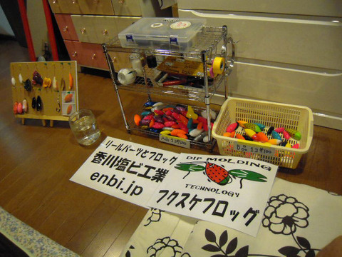 DSCN0789