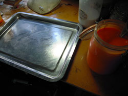 DSCN1359