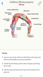 3D Yoga Anatomy