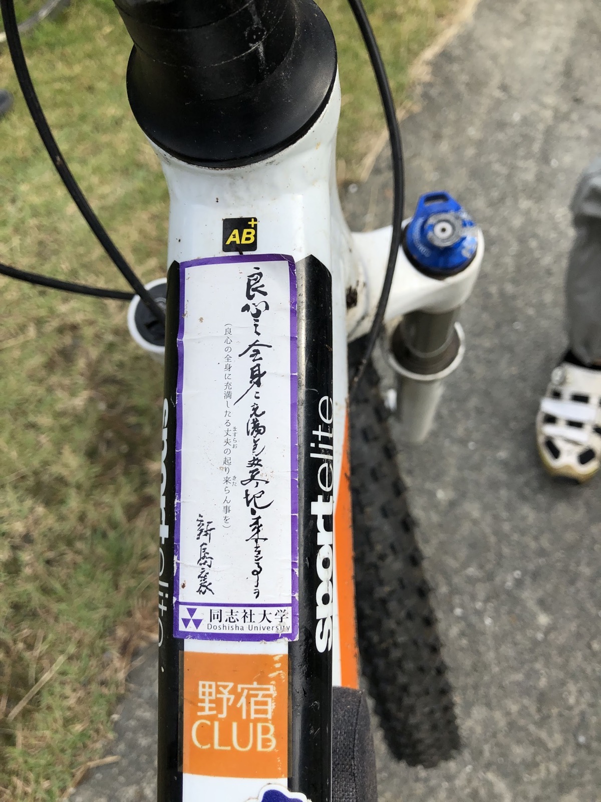 bmc sportelite 2