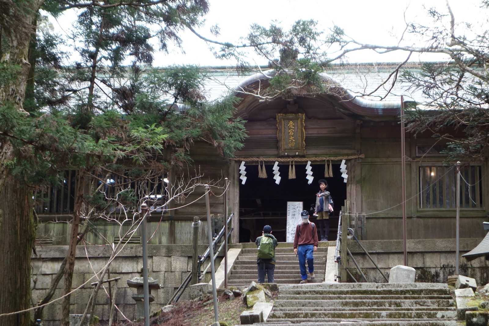 DSC05431.jpg DSC05431