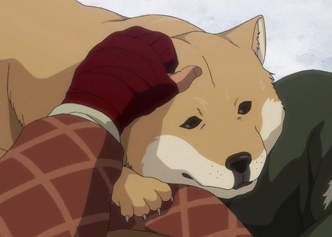 ed (3)