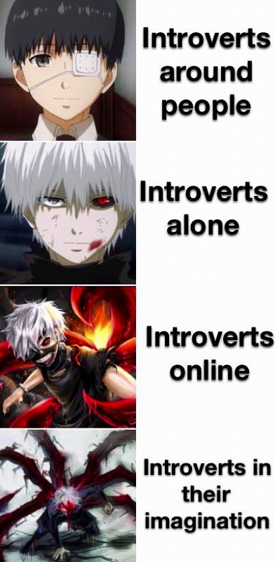 wdd