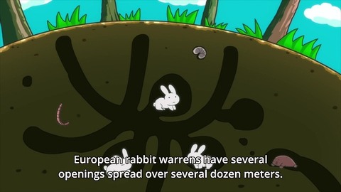 e (8)