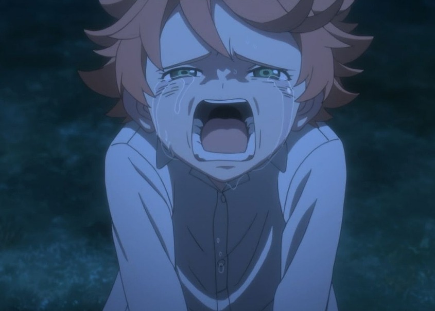 アニメ 約束のネバーランド 第1話に対する海外の反応 感想 海外の反応で英語の勉強 アニメ 約束のネバーランド 第1話に対する海外の反応 感想 海外の反応で英語の勉強