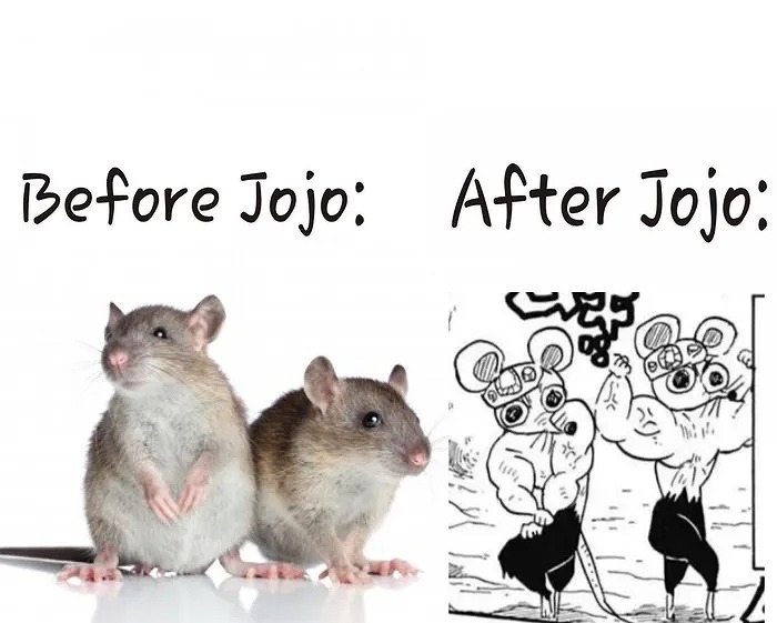 アニメ 鬼滅の刃 遊郭編 第４話に対する海外の反応 感想 今夜 海外の反応で英語の勉強