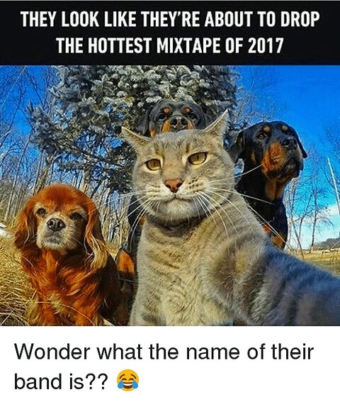 e (1)