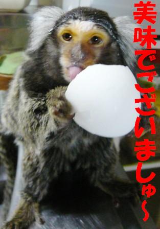 タ〜マゴ=♪タ〜マゴ=♪