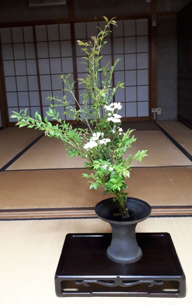 ニシキギの生花 花月流 ニシキギの生花 花月流