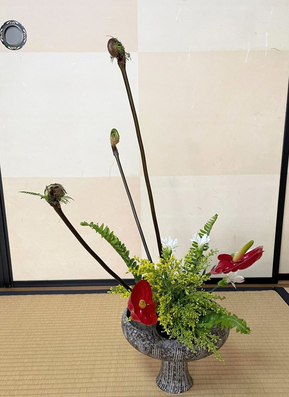 ゼンマイの自由花 花月流