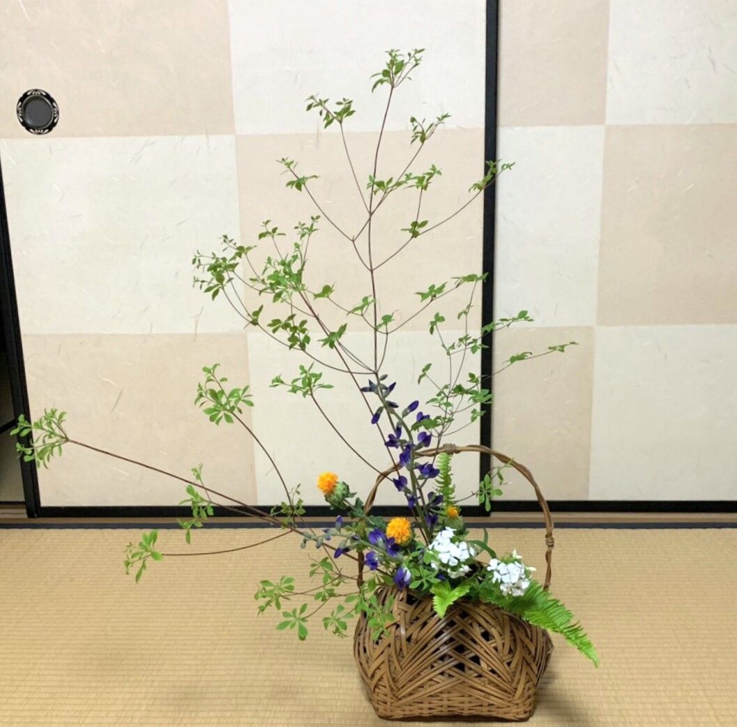 激安単価で 投げ入れ花かご1 超目玉 激安単価で 投げ入れ花かご1 超目玉