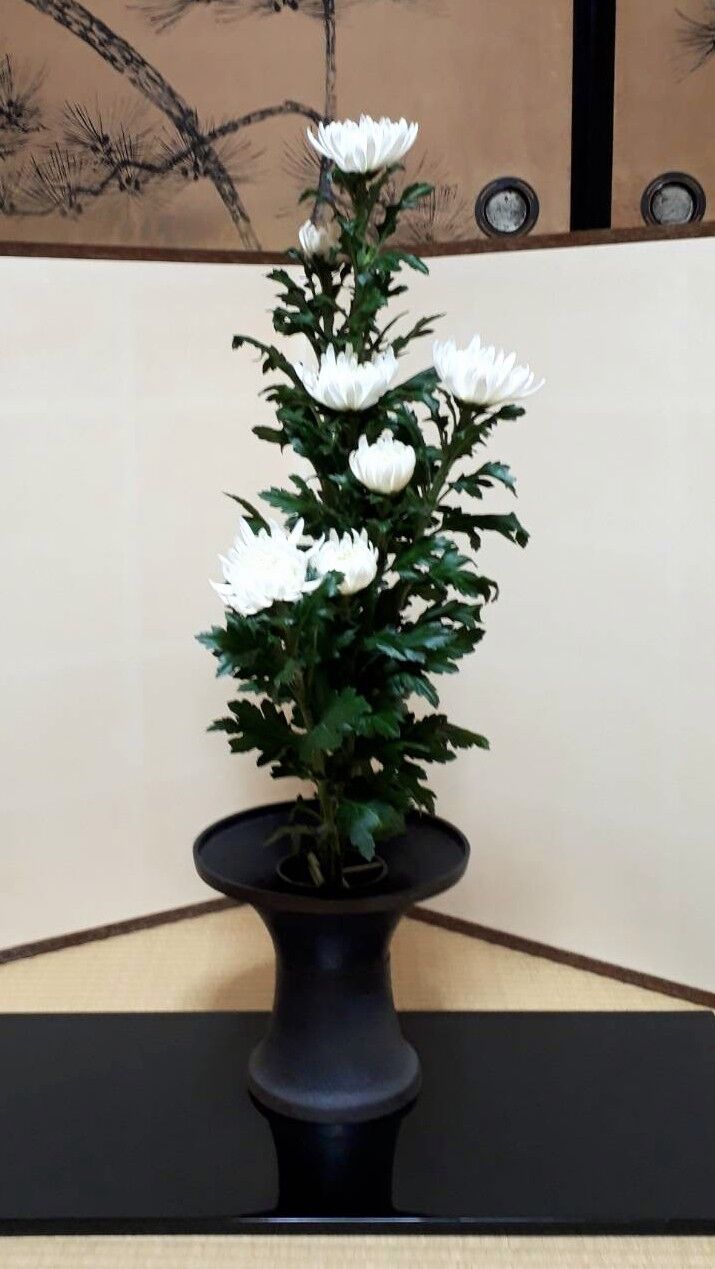 白菊のせい花 花月流 白菊のせい花 花月流