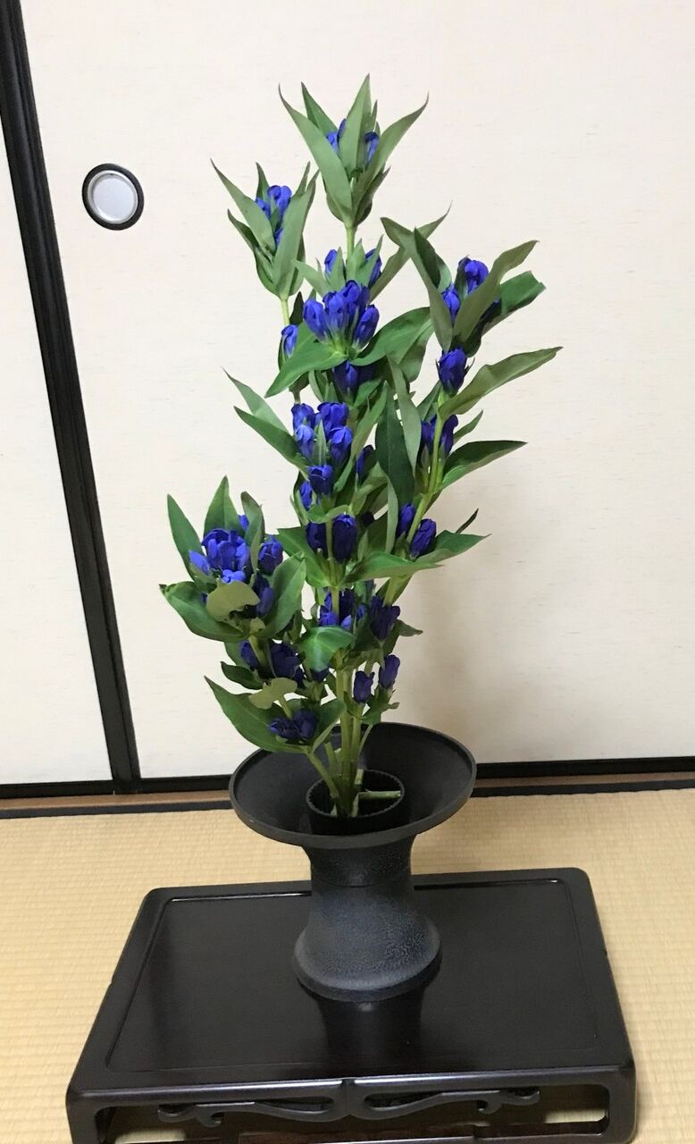 リンドウの生花 花月流 リンドウの生花 花月流