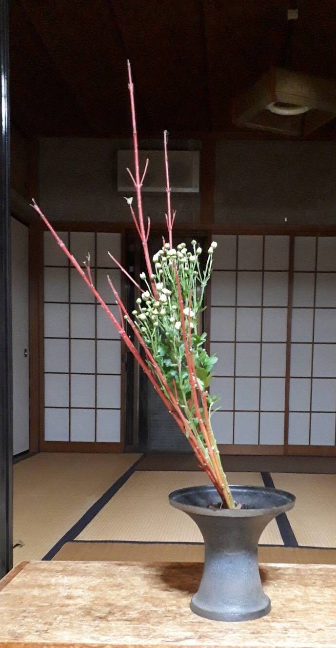 サンゴミズキの生花 花月流 サンゴミズキの生花 花月流