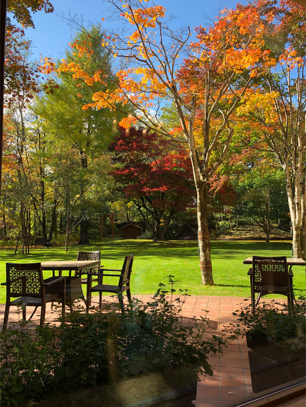 19席からの眺め