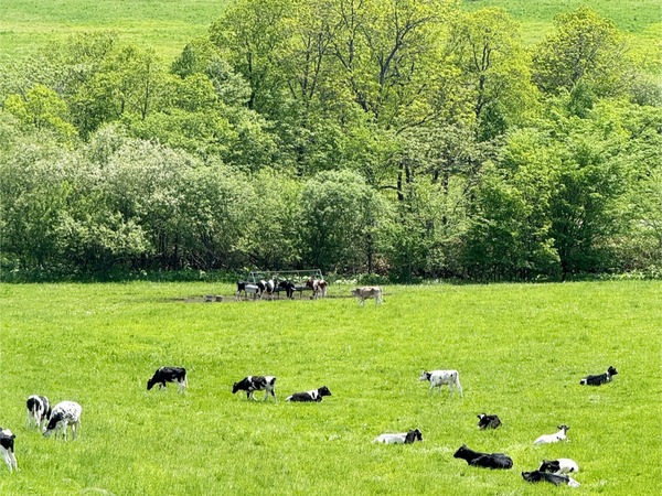 くつろいでます