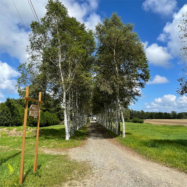 14道路からこのトンネルを潜り抜けます