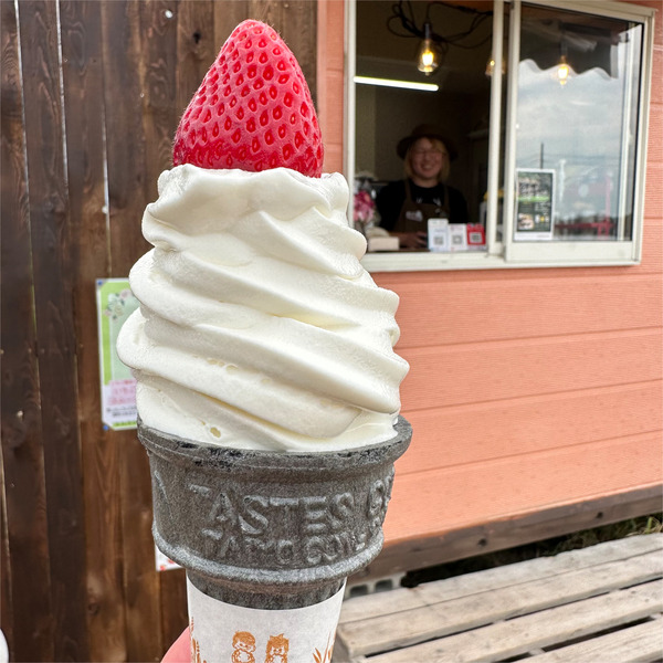 01摘みたていちごソフト(400円)