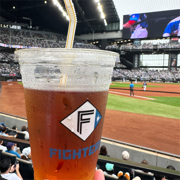 11売り子さんから買いました