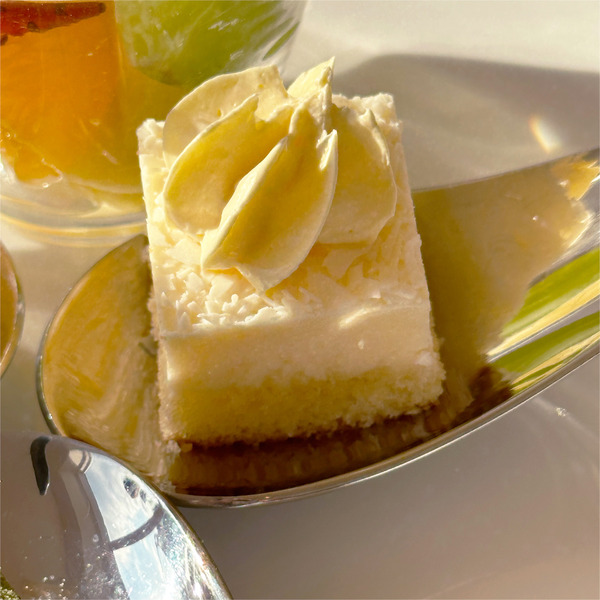 18セミバイキング8