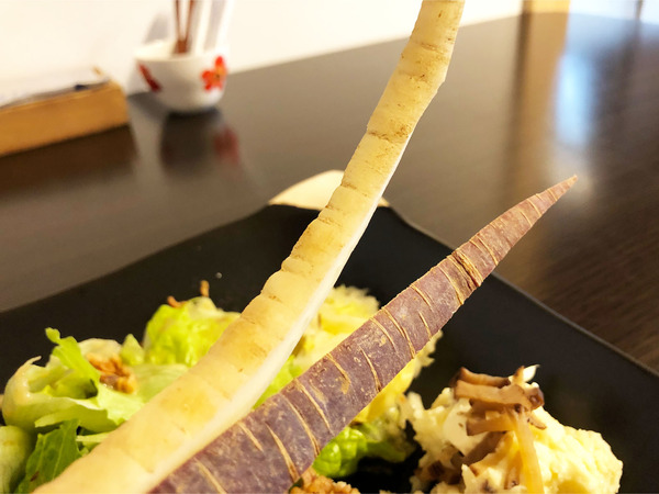 12白人参と紫人参