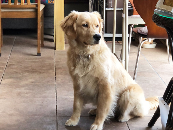 11カイくんだったよーな