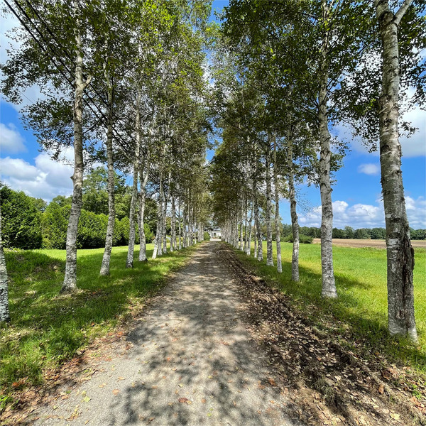 13素敵な空間です