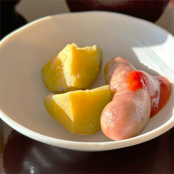 11セミバイキング2