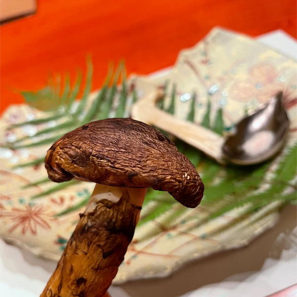 18まるかじり♡