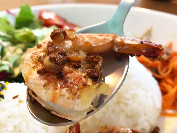 02シュリンプゥ~