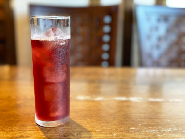 04ひとみ元気ソーダ(528円)