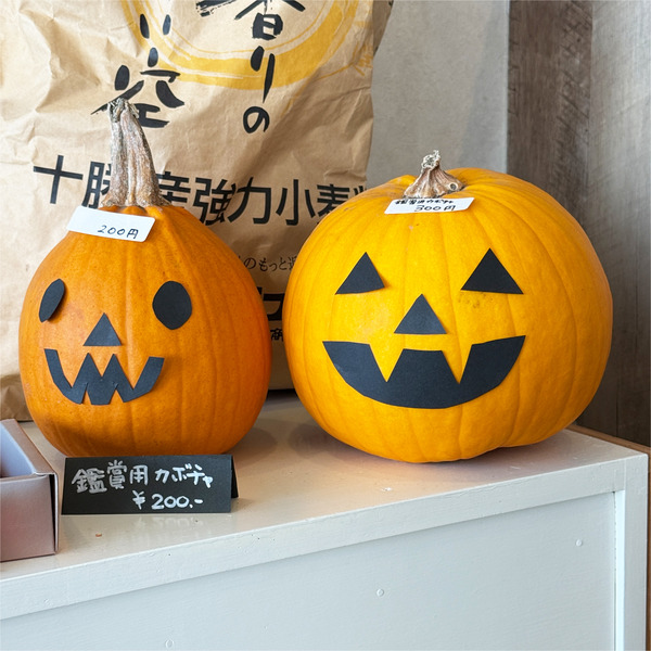 09観賞用カボチャ