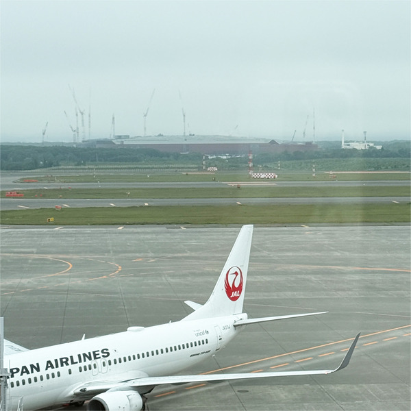 15ラピダスが部屋から見えます