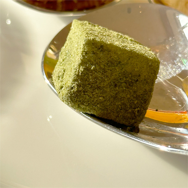 19セミバイキング9