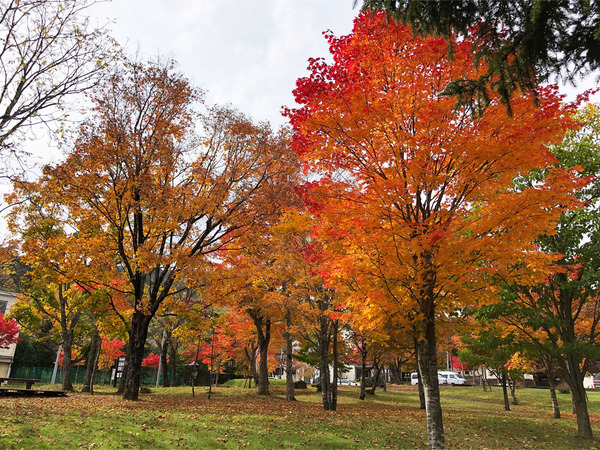 04糠平温泉公園_1