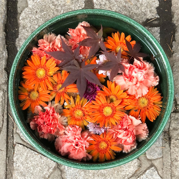 05名残の花手水_2