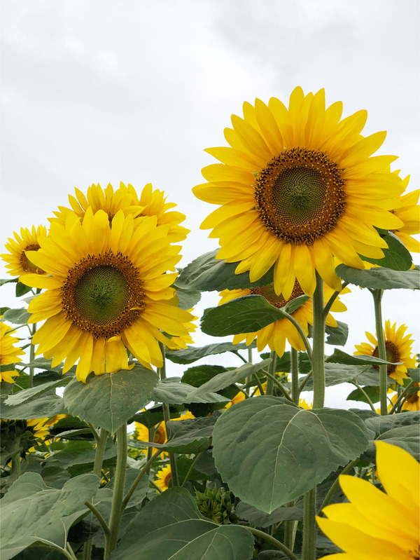 02_第1便到着までしばし観覧